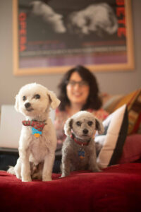 Pet Dog Photography