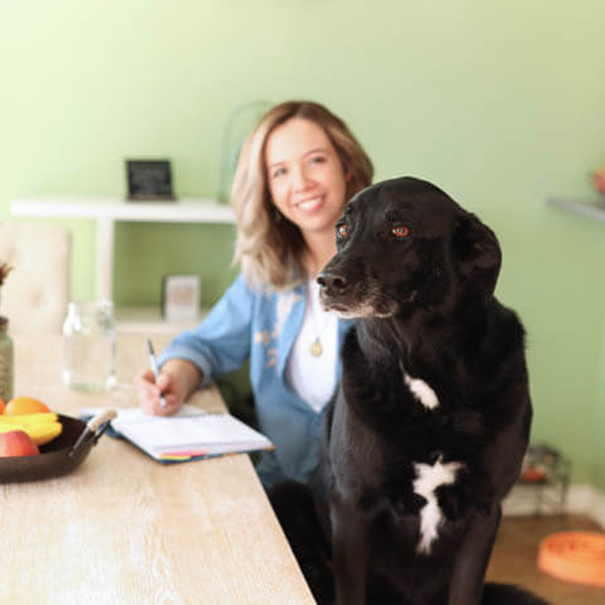 Frisco Workstyle Dog Photoshoot
