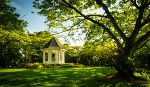 Zilker Botanical Gardens