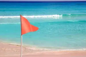 job-search-red-flags-avoid