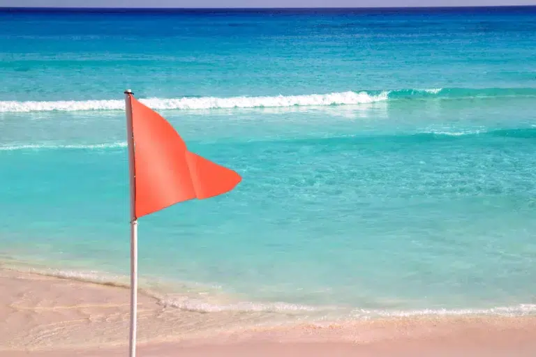 Avoid These Red Flags During Your Job Search