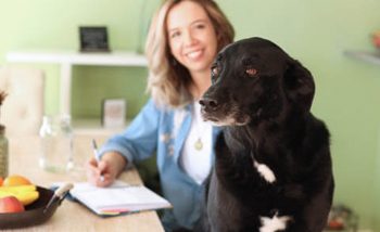 Frisco Workstyle Dog Photoshoot